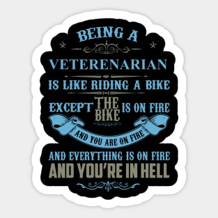 Being a VETERENARIAN is Like Riding a Bike Funny Gift Sticker